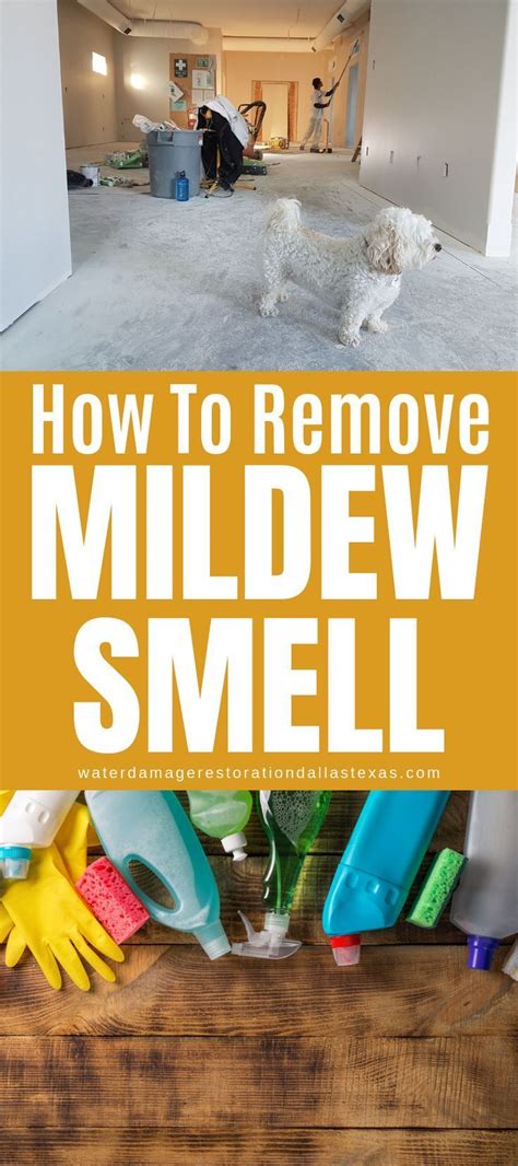 How To Get Musty Smell Out Of Clothes Stored In Basement Howsolut