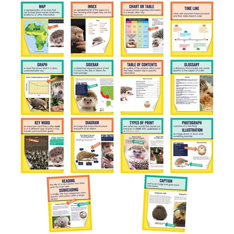 Knowledge Tree Carson Dellosa Education Mini Posters Nonfiction Text Features Poster Set