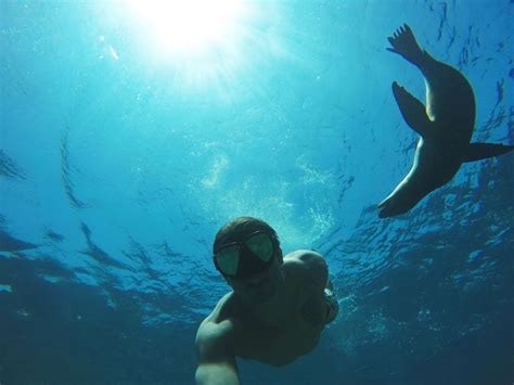 From La Paz Swim With Sea Lions Esp Ritu Santo Boat Tour Travel