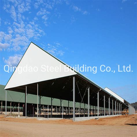 Light Steel Structure Cow Farm Dairy Farme Cowshed Building From China