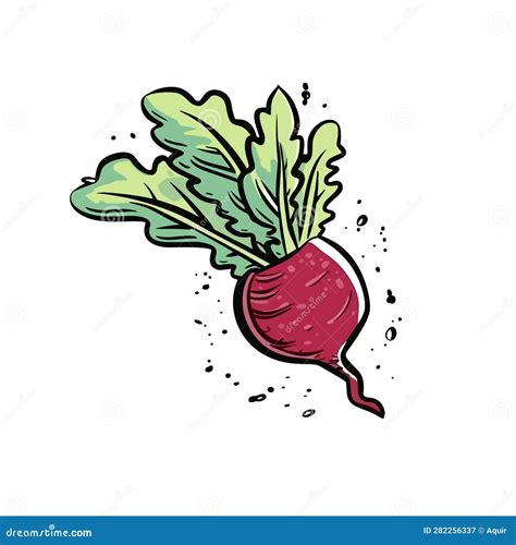 Beetroot Hand Drawn Illustration Beetroot Vector Doodle Style Cartoon