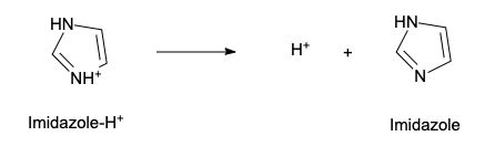 A Write The Chemical Reactions Whose Equilibrium Constants Quizlet