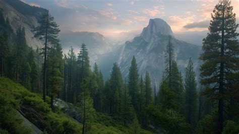 Wallpaper Yosemite K K Wallpaper K Forest Osx Nature