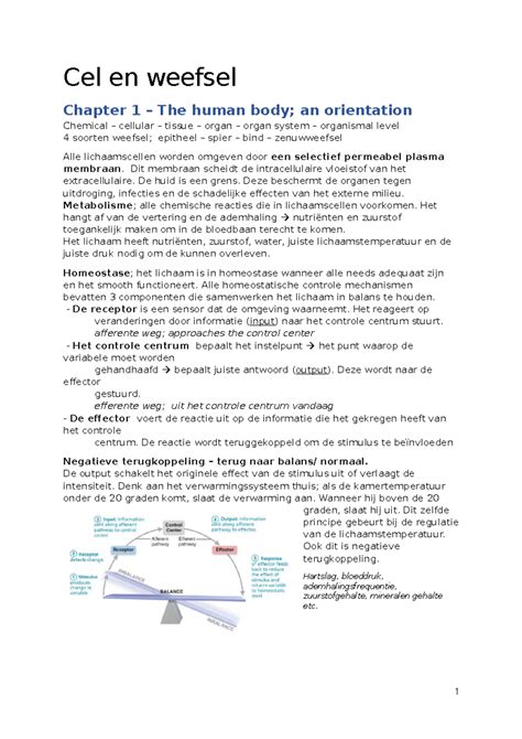 Samenvatting Cel En Weefsel Cel En Weefsel Chapter 1 The Human Body