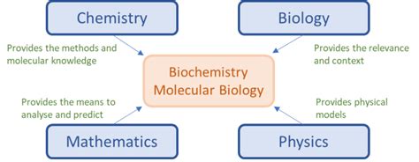 22 What Makes Biochemistry And Molecular Biology So Difficult