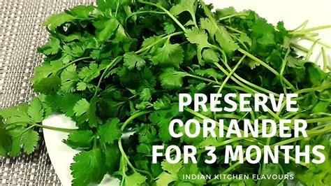 How To Store Coriander Recipes Lord