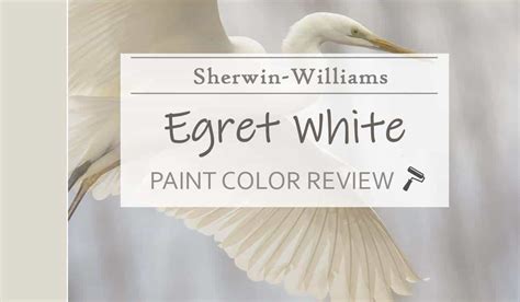 Sherwin Williams Egret White SW 7570 – The Timeless Off-White Neutral ...