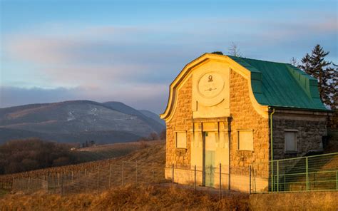 รูปภาพWienerwald – เลือกดูภาพถ่ายสต็อก เวกเตอร์ และวิดีโอ1,480 | Adobe ...