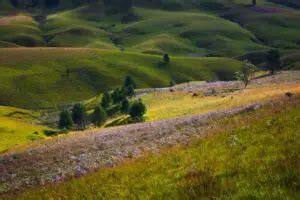 Tanzania S Garden Of The Gods In Kitulo National Park