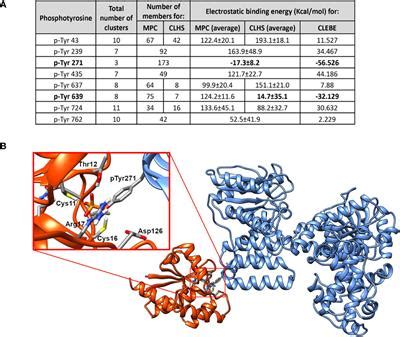 Frontiers Characteristics Of Mycobacterium Tuberculosis Ptpa