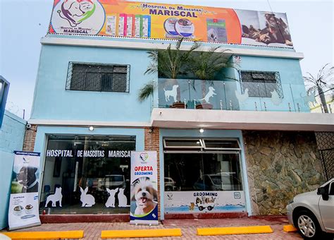 Inicio Hospital De Mascotas Mariscal