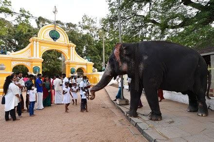 250 Kataragama temple Stock Pictures, Editorial Images and Stock Photos ...