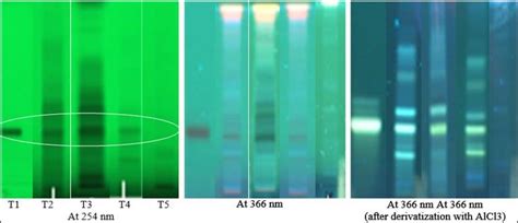 Tlc Fingerprint Of Phyllanthus Maderaspatensis Showing The Presence Of