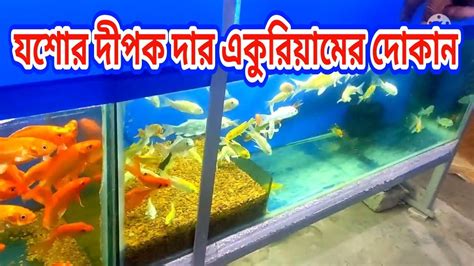 যশোর দীপক দার মাছের🐟🎏 একুরিয়াম এর দোকান আমার ওস্তাদfishing Fish