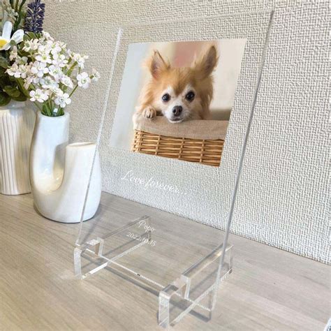 Acrylic Photo Frames In Chennai Transparent Photo Frames