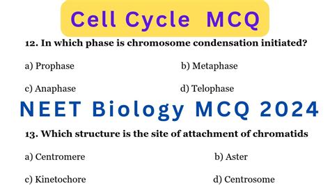 Cell Cycle And Cell Division Mcq Biology Mcq 2024 Neet 2024 Mcq