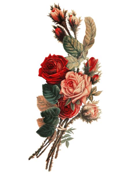 Bouquet Of Vintage Roses Cut Out Free Stock Photo Public Domain Pictures