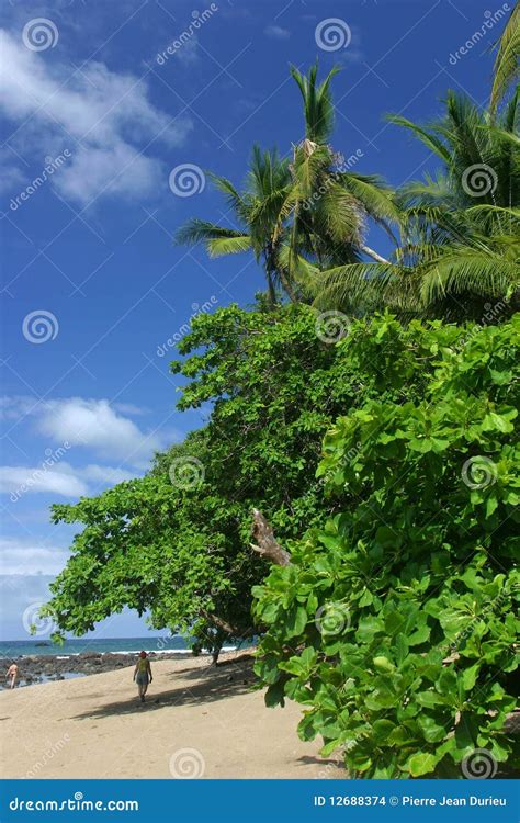 Corcovado Beach stock photo. Image of winter, latin, rock - 12688374