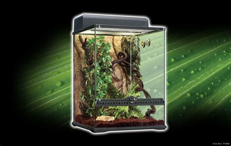 Exo Terra Rainforest Habitat Kit 18” X 18” X 24” Pt2662 Ebay