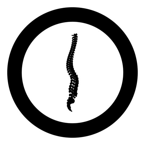 Spinal Vertebral Column Spine Backbone Icon In Circle Round Black Color