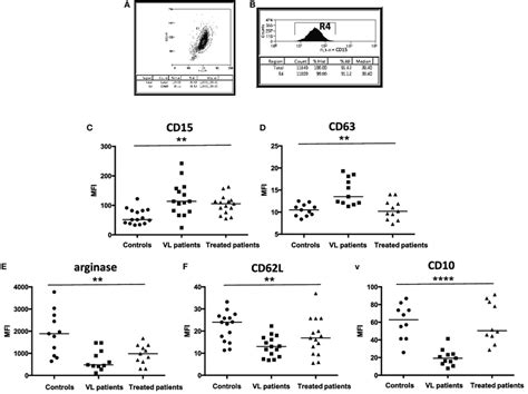 Activation Status Of Neutrophils A Neutrophils Were Isolated By