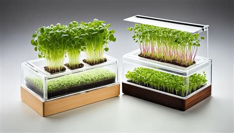 discover easy microgreens growing kits  home