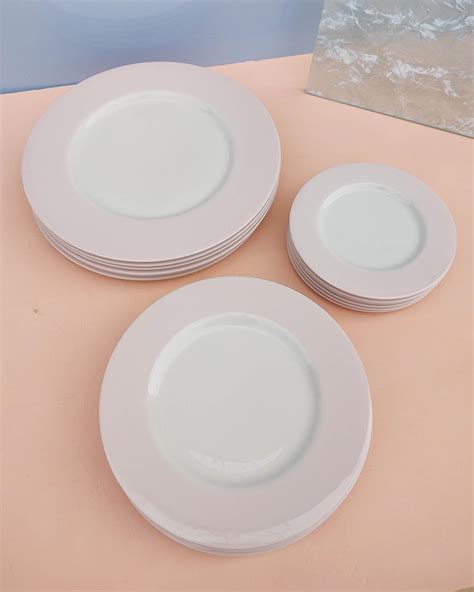 18 Piece Vintage Pink and White Porcelain Dinnerware Plates Set, Set ...