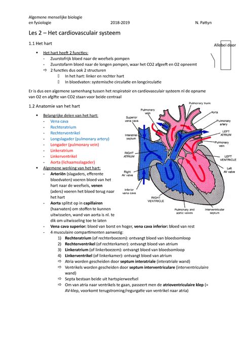 Hoofdstuk Les Algemene Menselijke Biologie En Fysiologie N