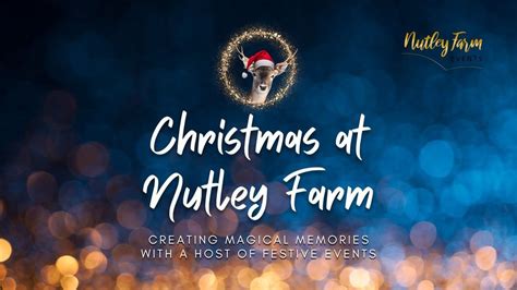 Christmas At Nutley Farm Nutley Farm Weymouth 4 December 2023