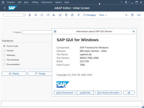 Sap Gui For Windows 800 64bit Version Coming In Sap Community