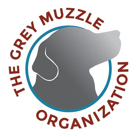 Humane Society For Southwest Washington The Grey Muzzle Organization