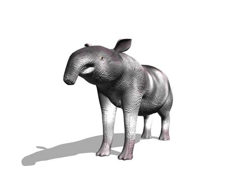 3d Prehistoric Tapir Megatapirus