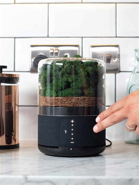 The Briiv Air Filter Is The Moss Powered Air Purifier You Need