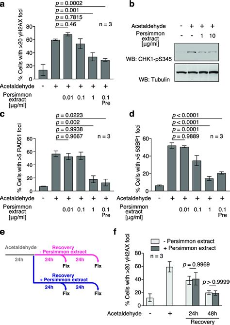 Persimmon Fruit Extract Attenuates Acetaldehyde Induced Dna Damage A