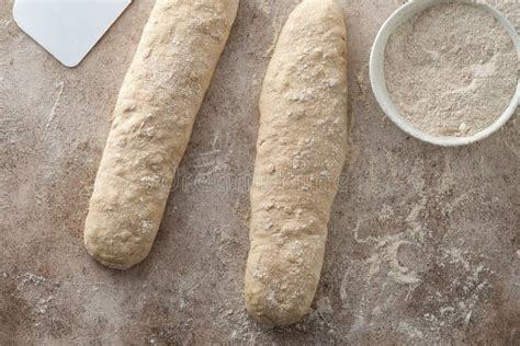 Raw Baguette Dough With Whole Grain Rye Flour Copy Space Stock Image