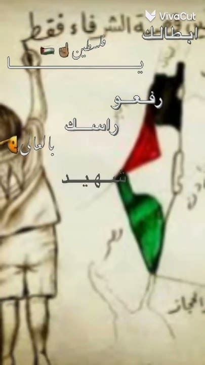 فلسطين حره 🇵🇸🇵🇸🇵🇸🇵🇸 Youtube