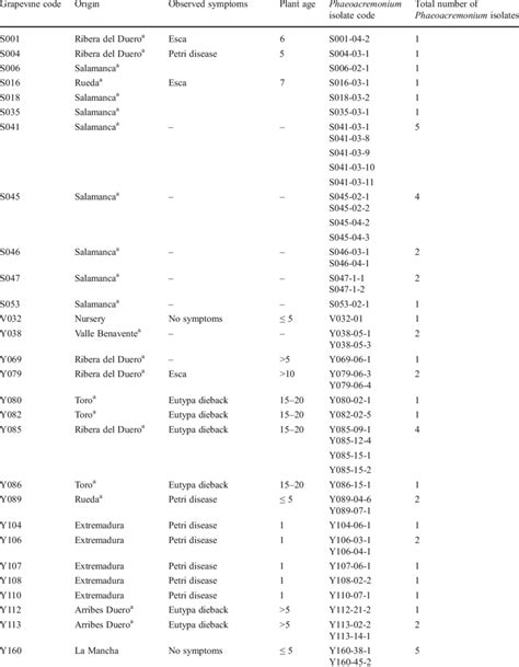 The 175 Spanish Isolates Of Phaeoacremonium Spp Examined Download Table