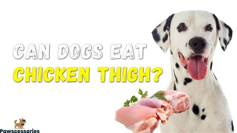 Can Dogs Eat Chicken Thighs Benefits And Dangers From A Vet