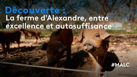 D Couverte La Ferme D Alexandre Entre Excellence Et Autosuffisance