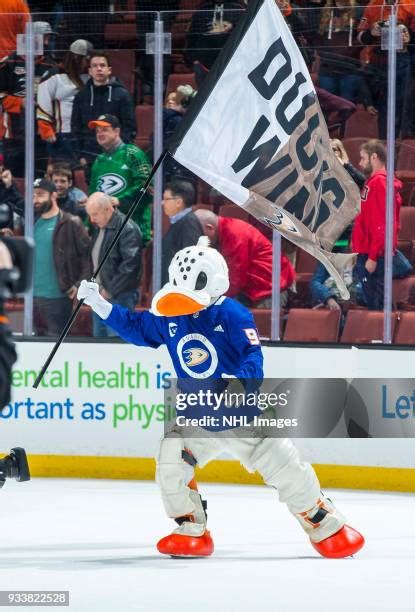 Mighty Ducks Mascot Photos and Premium High Res Pictures - Getty Images