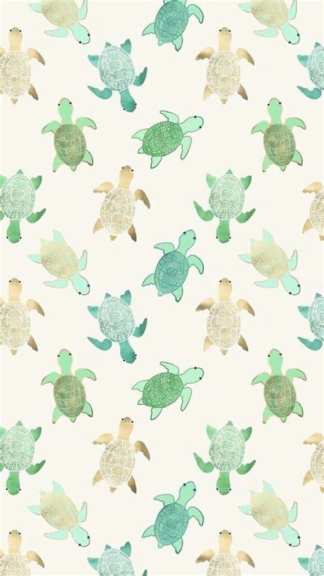 Turtle Cute Aesthetic Hd Phone Wallpaper Pxfuel