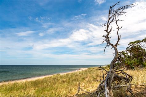 Gotska Sand N Kreuzfahrt Hafeninfos Landausfl Ge Und Schiffsradar