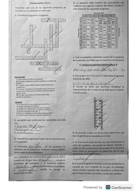 Solution Examen Acumulativo Noveno Grado Sobre La Gen Tica Studypool