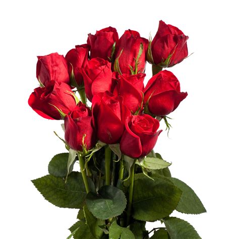 Dozen Roses | Order Online at Redner's Markets