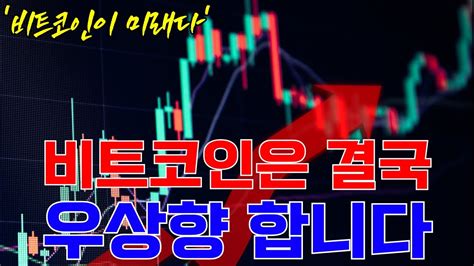 비트코인 결국 우상향 합니다 비트코인 비트코인전망 비트코인분석 알트코인 독고다이 독고다이 투자클럽