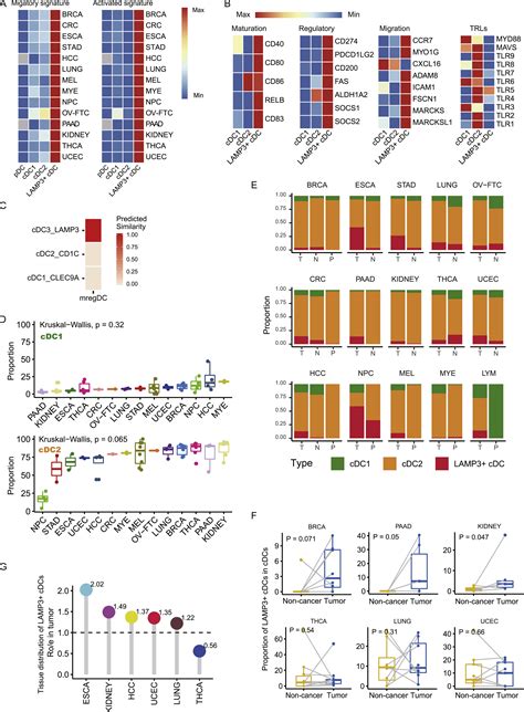 A Pan Cancer Single Cell Transcriptional Atlas Of Tumor Infiltrating