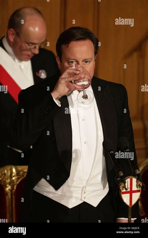 Prime Minister David Cameron during speeches at the Lord Mayor's ...