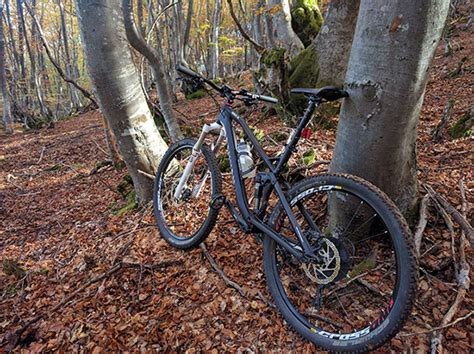 La Foto Del D A En Todomountainbike Hayedo De Orzonaga