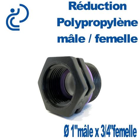 R Duction Polypro M Le X Femelle