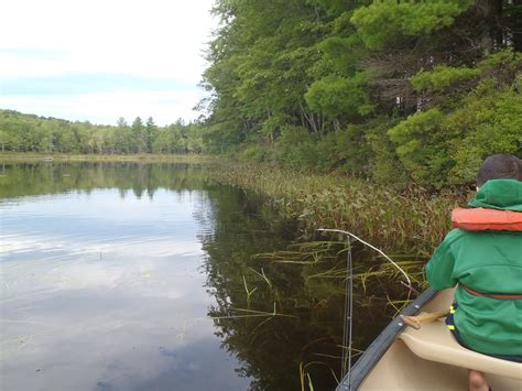 Largemouth Bass Fishing On Webber Pond In Sweden Maine September 7